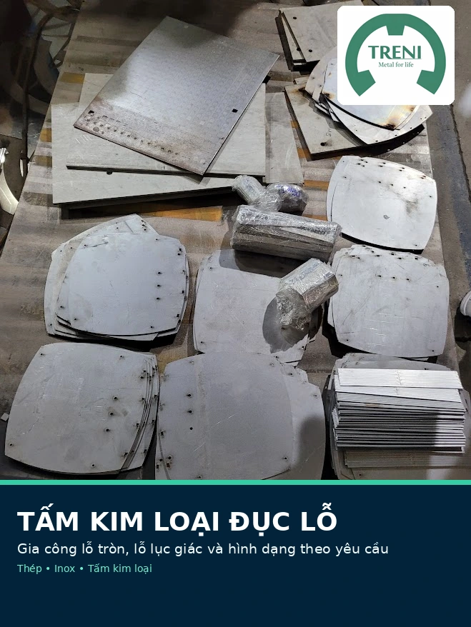 Các chi tiết tấm kim loại cắt theo hình dạng tại TRENI METAL